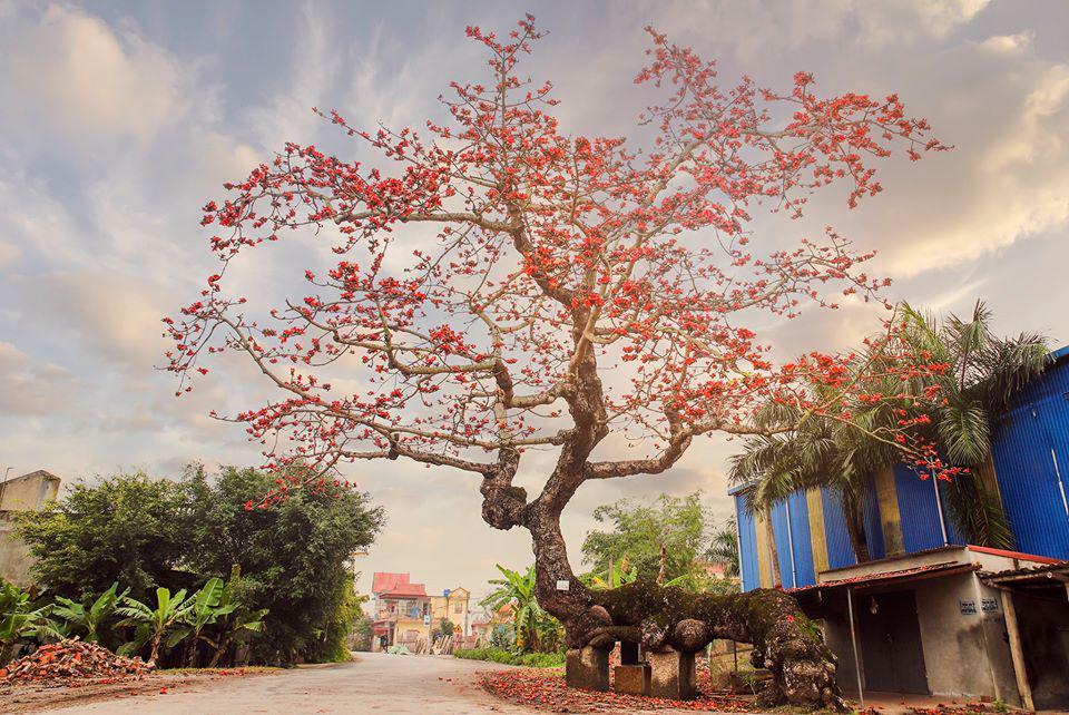 Chàng trai khoe cổng làng có 1-0-2, dân mạng bất ngờ khi biết tuổi đời của nó-4