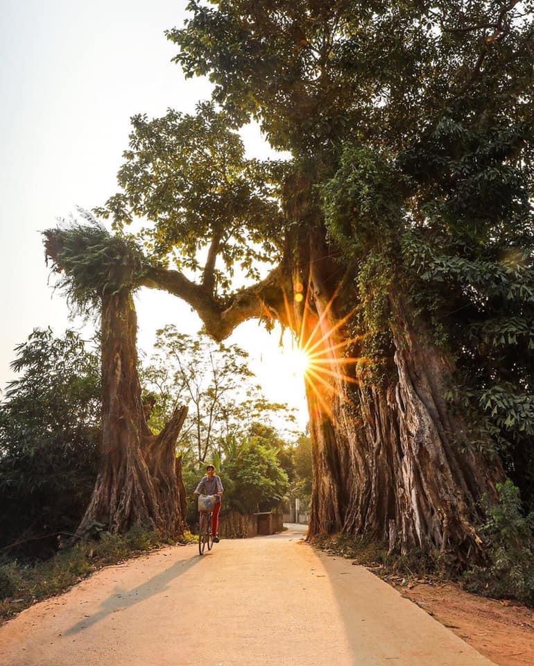 Chàng trai khoe cổng làng có 1-0-2, dân mạng bất ngờ khi biết tuổi đời của nó-5