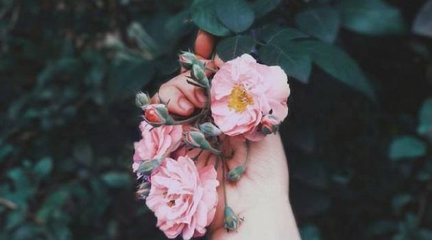 Tử vi Thứ Ba ngày 7/4/2020 của 12 con giáp: Tý tình duyên rực rỡ, Dần nhận quà bất ngờ-5