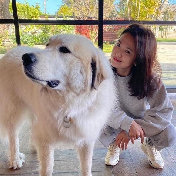 Lên top 1 Naver vì tin phá nhà tân hôn gần 200 tỷ, vì sao ly hôn tới gần 9 tháng mà giờ Song Joong Ki mới hành động?-3