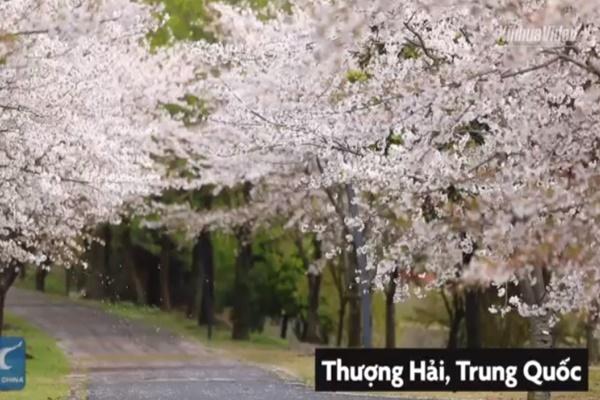 Cuộc sống bên trong khu ổ chuột lớn nhất châu Phi-1