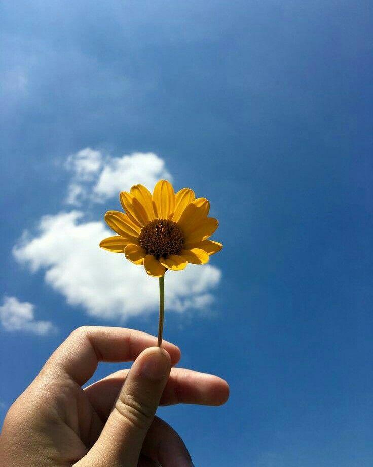 Tử vi Thứ 4 ngày 8/4/2020 của 12 con giáp: Mão làm việc quên mình, Mùi lĩnh đủ thị phi-6