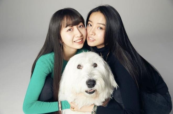 Cha mẹ Cocomi và Koki là đôi vợ chồng đình đám xứ hoa anh đào Takuya Kimura và Shizuka Kudo. Takuya Kimura là thành viên nhóm nhạc SMAP. Năm 2000, ông kết hôn với mỹ nhân Shizuka Kudo. Cả 2 đều được mệnh danh là "quốc bảo nhan sắc" của Nhật Bản. Nhiều người nhận xét, chị em Cocomi và Koki đều thừa hưởng vẻ đẹp từ cả bố và mẹ.