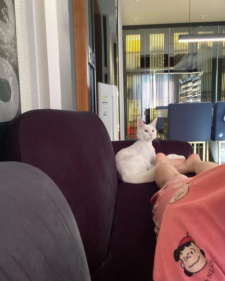 Trấn Thành sầu não khi bị boss chiếm mất vợ-3