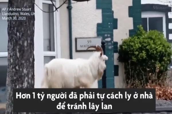 Nhóm phượt thủ bị lạc khi lên núi tìm hoa đột biến-3