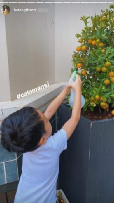 Cậu ấm cô chiêu nhà sao Việt làm nội trợ: Đâu phải nhà giàu là ngồi mát ăn bát vàng-3