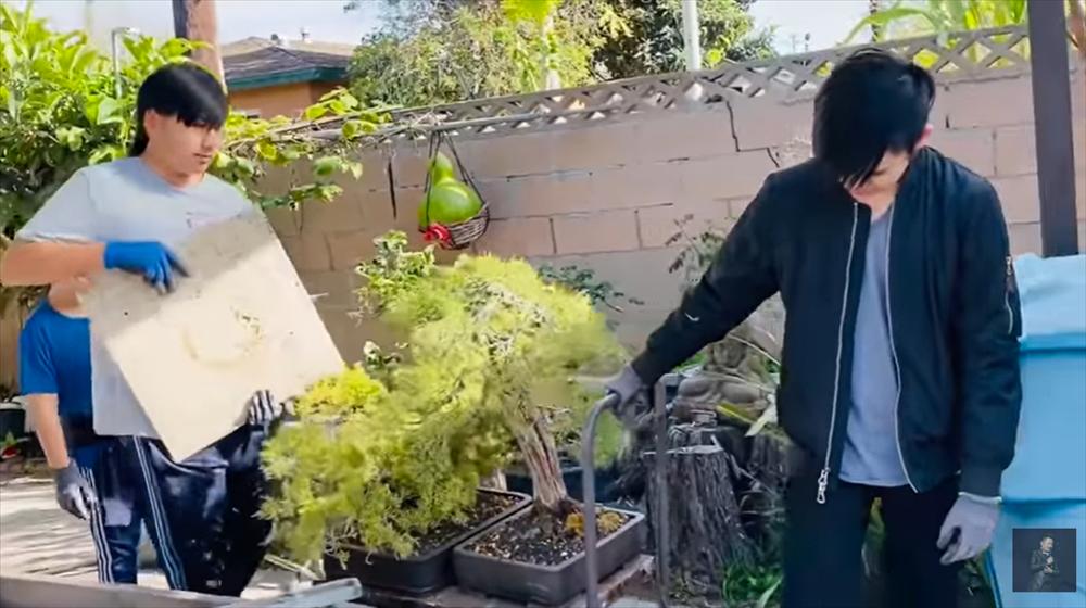 Cậu ấm cô chiêu nhà sao Việt làm nội trợ: Đâu phải nhà giàu là ngồi mát ăn bát vàng-16