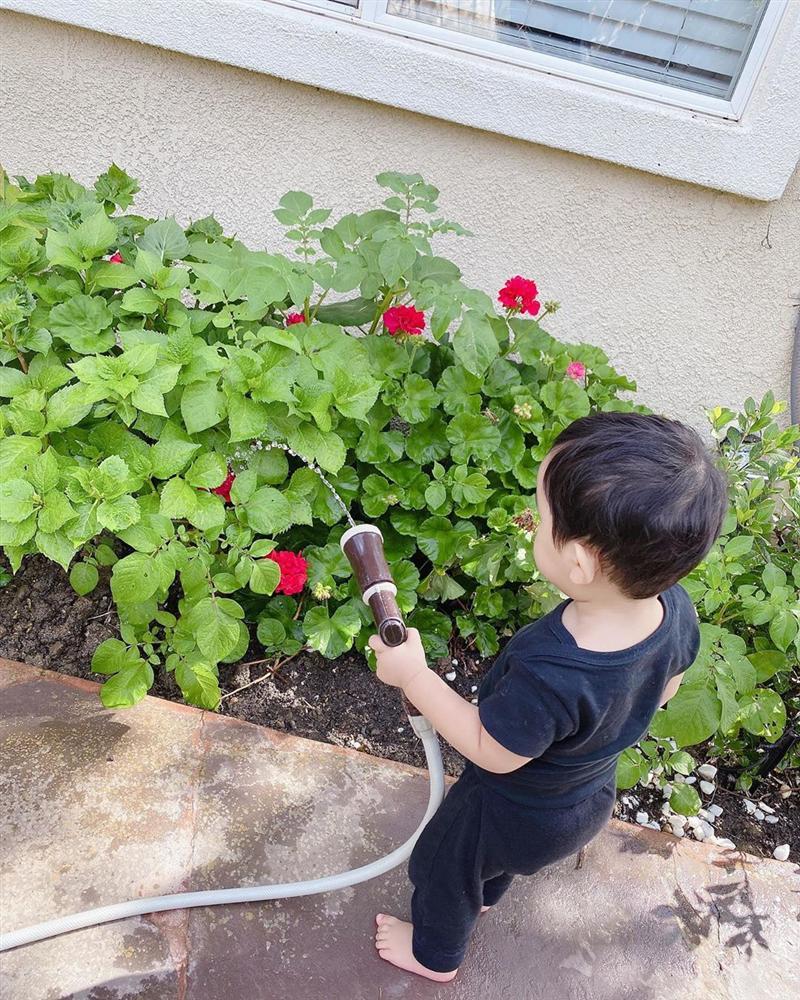 Cậu ấm cô chiêu nhà sao Việt làm nội trợ: Đâu phải nhà giàu là ngồi mát ăn bát vàng-10
