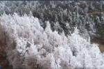 Tuyết đầu xuân phủ trắng núi Thái Bình