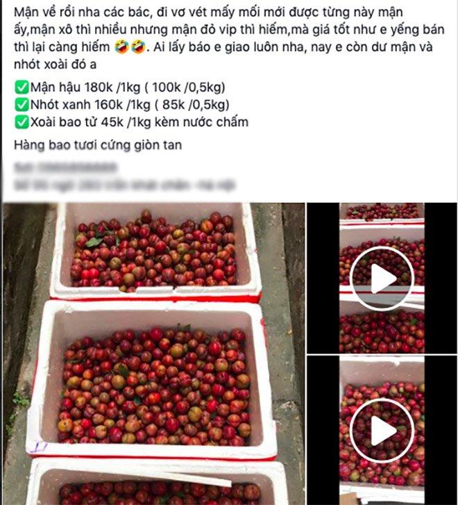 Mận đầu mùa giá cao gấp 4, chị em không đi chợ ngồi nhà vẫn mua ầm ầm-1