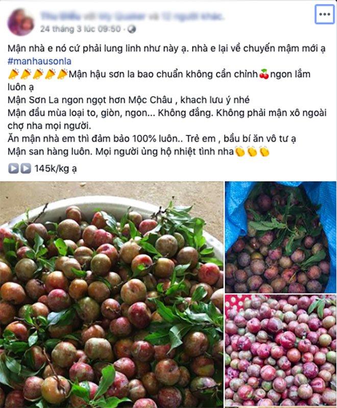 Mận đầu mùa giá cao gấp 4, chị em không đi chợ ngồi nhà vẫn mua ầm ầm-4