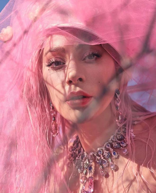 Lady Gaga được bế đến chỗ chụp ảnh vì sợ bẩn váy-3