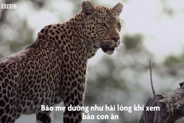 Voi đá cao 50 m sừng sững giữa sa mạc-1