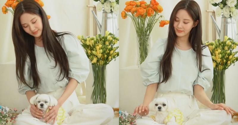 Em út SNSD trổ tài cover nhạc IU, chính chủ cũng phải bật nút like: Quá xịn!-2