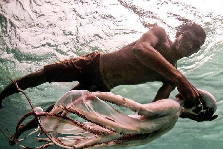 Ngửi mùi hôi nách, ngửi mùi xì hơi, ăn đồ cho chó mèo và những nghề có 1-0-2-13