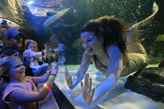 Ngửi mùi hôi nách, ngửi mùi xì hơi, ăn đồ cho chó mèo và những nghề có 1-0-2-7