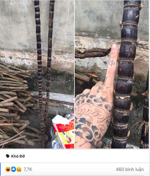 Nhờ em trai đi mua cây mía ăn cho đỡ thèm, anh chàng choáng váng khi em mang về cây tre trăm đốt-1