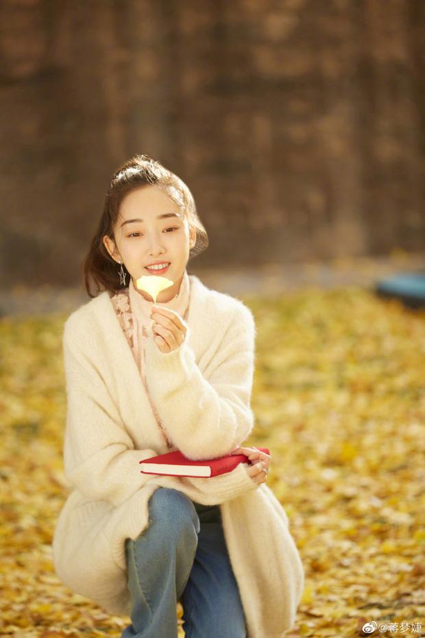 Dàn sao Tân Hồng Lâu Mộng sau 10 năm: Triệu Lệ Dĩnh thành sao hạng A, Lý Thấm loay hoay tìm chỗ đứng-9