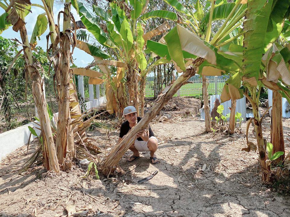 Cuộc sống của sao Việt thay đổi như thế nào trong kỳ nghỉ dài vì dịch bệnh Covid-19?-5