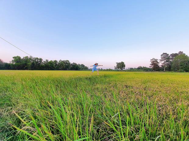 Cuộc sống của sao Việt thay đổi như thế nào trong kỳ nghỉ dài vì dịch bệnh Covid-19?-7