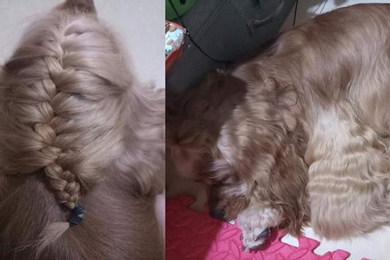 Khoe mẫu tóc tết mượt mà, màu đẹp chuẩn salon, cô gái khiến tất cả kinh ngạc khi xem tấm ảnh cuối