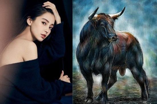 Dù có cả 'núi tiền' bạn cũng khó lòng tán được những nàng giáp dưới đây