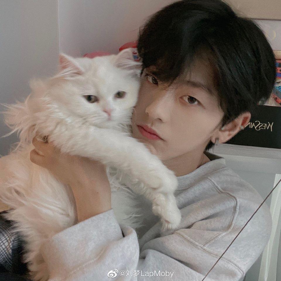 Thực tập sinh nữ Produce 101 bản Trung nổi như cồn vì quá... đẹp trai-5