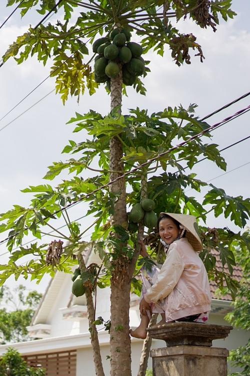 HHen Niê mê thu hoạch rau trái trong vườn, rẫy-5