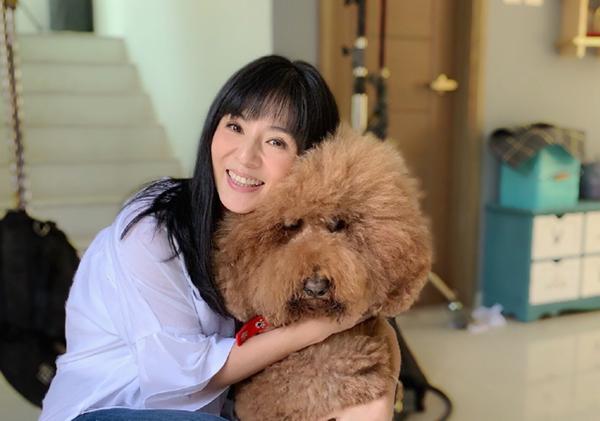 Chúc Anh Đài xinh đẹp nức tiếng: Vỡ nợ khi từ bỏ showbiz theo bạn trai, giờ ra sao ở tuổi U50?-14