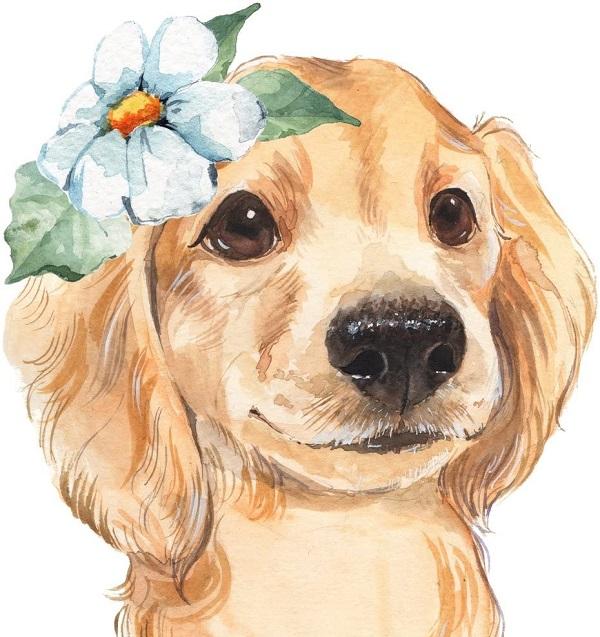 Top 3 con giáp là người đàn ông có đầu óc kinh doanh nhất, có thể kiếm được rất nhiều tiền-2