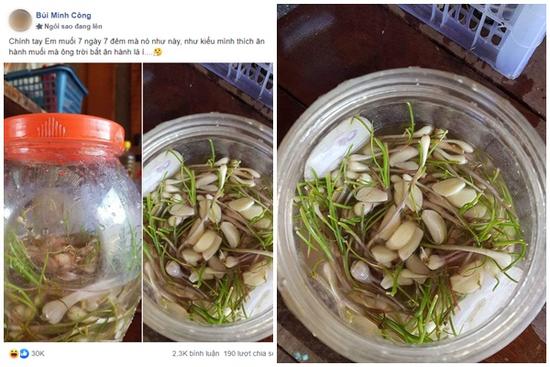 Hì hục làm hành muối ngâm 7 ngày 7 đêm như 'luyện đan', anh chồng trẻ sững sờ khi lọ hành mọc cả mầm lẫn rễ