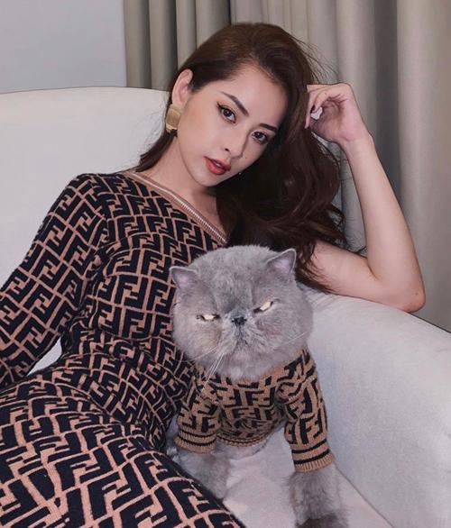 Thú cưng của sao Việt - Hàn diện đồ hiệu xịn không kém chủ-1