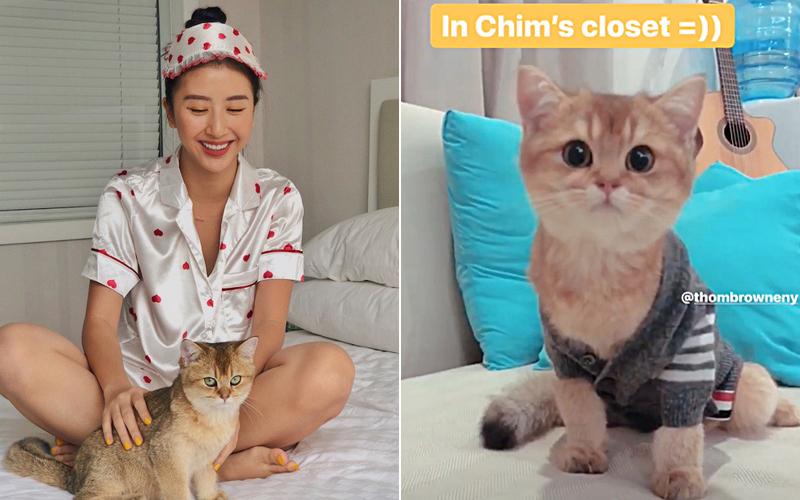 Thú cưng của sao Việt - Hàn diện đồ hiệu xịn không kém chủ-2