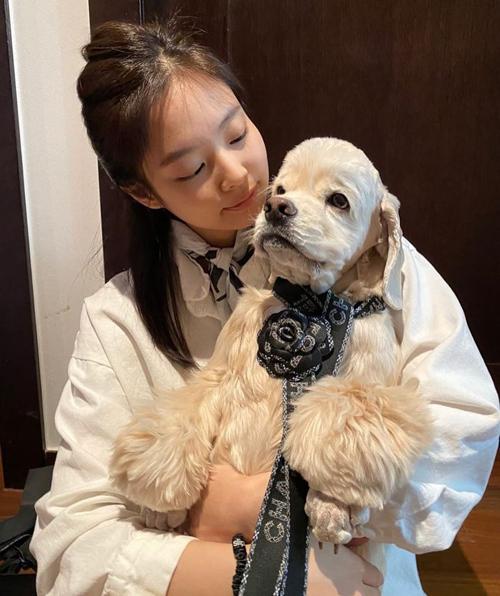 Thú cưng của sao Việt - Hàn diện đồ hiệu xịn không kém chủ-8