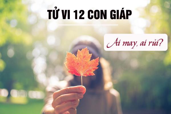 Gặp hạn tam tai, 3 con giáp thường hay gặp chuyện thị phi, hoa tài, tán lộc-4