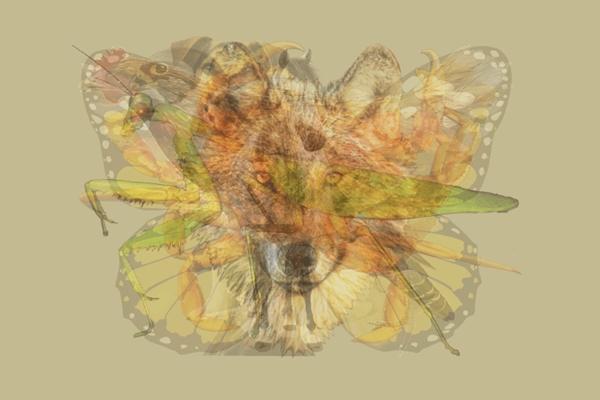 Hình ảnh đầu tiên nhìn thấy tiết lộ người xung quanh nghĩ gì về bạn-2