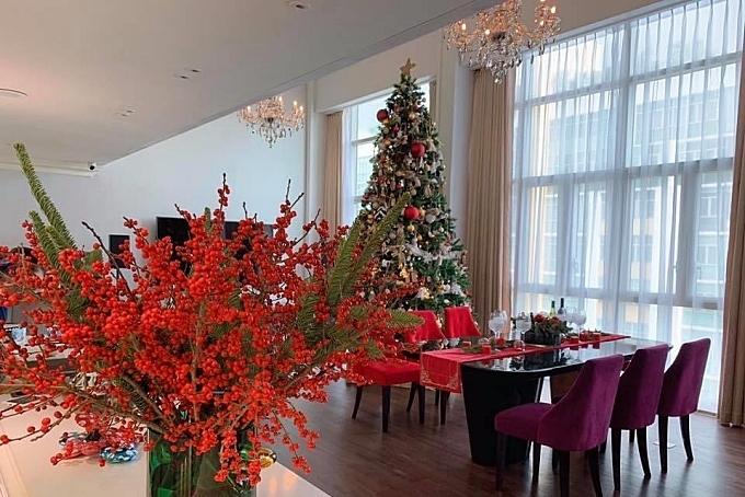 Không gian sống của Trương Ngọc Ánh-8