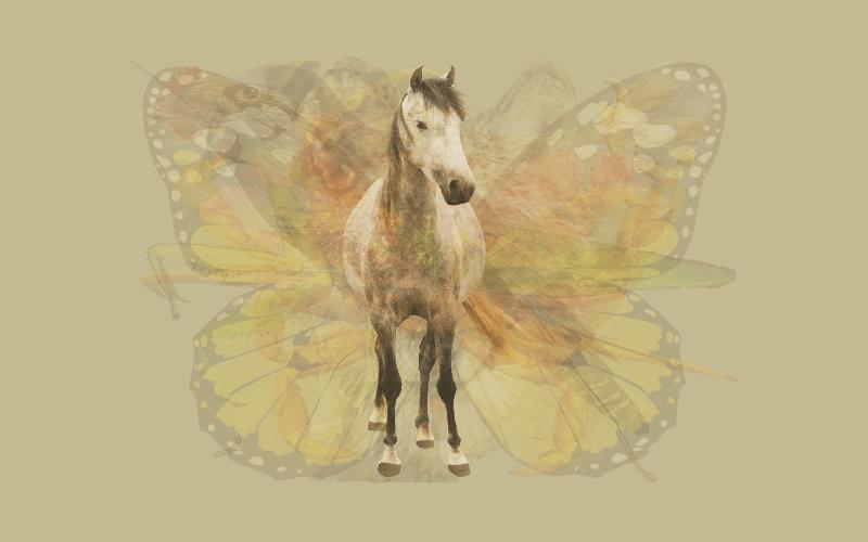 Con vật đầu tiên nhìn thấy tiết lộ chính xác phẩm chất đáng quý nhất của bạn-2