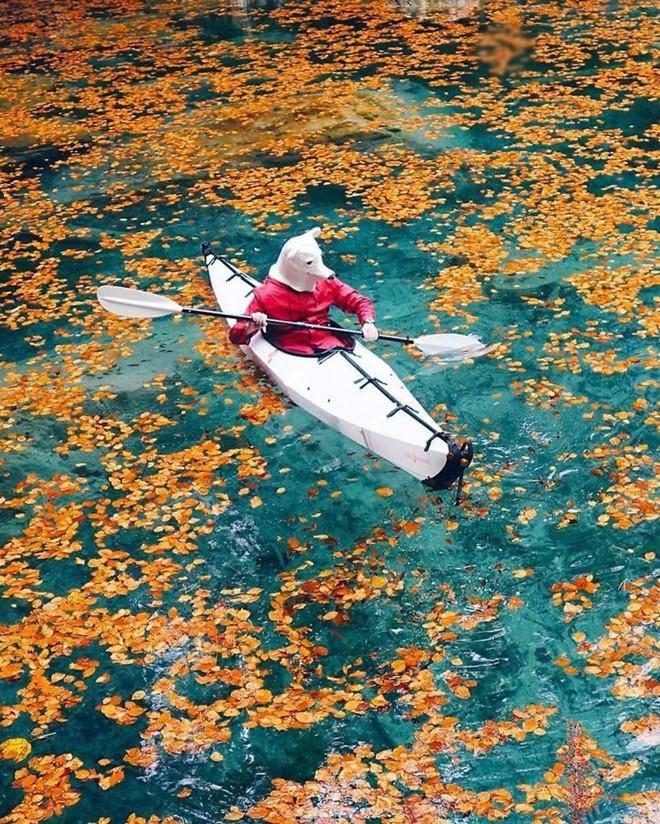 Sốt xình xịch với bộ ảnh du lịch trong nhà mùa dịch của ông bố trẻ điển trai-3