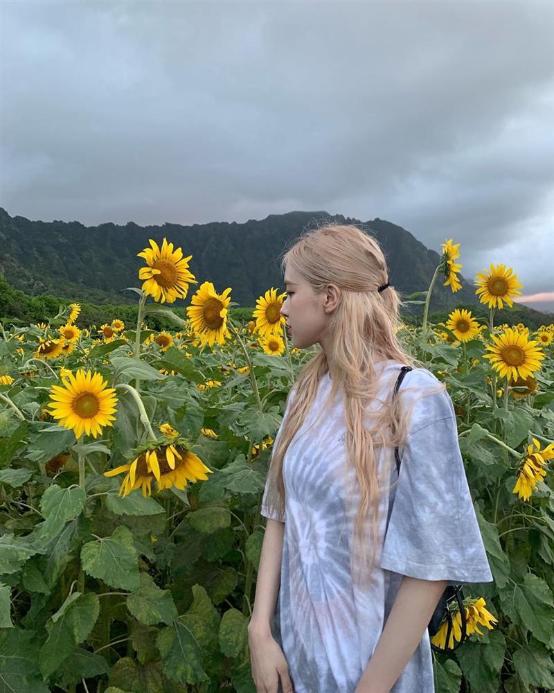 Tóc dài thướt tha sợ làm gì cũng sến, bạn phải học ngay 3 cách buộc tóc sang và xinh hết ý của Rosé (Black Pink)-4