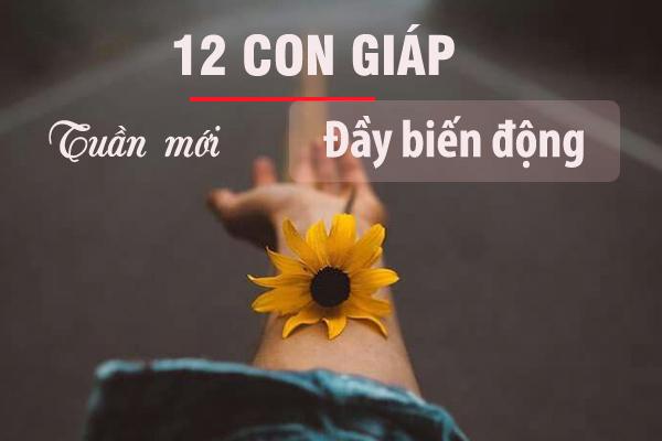 Cách ly xã hội chỉ ở nhà làm việc mà 3 con giáp số đen vẫn dính đủ thị phi trong tuần mới-4