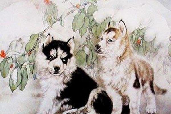 Top 3 con giáp là những người đàn ông nhàm chán nhưng tiếp xúc lâu sẽ nhận thấy nét duyên ngầm-3