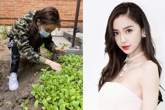 Sở hữu khối tài sản hàng trăm triệu USD, Angela Baby vẫn tự tay trồng rau sạch tại gia