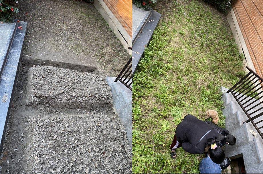 Sở hữu khối tài sản hàng trăm triệu USD, Angela Baby vẫn tự tay trồng rau sạch tại gia-3