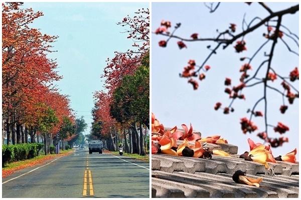 Lạc vào quán cà phê kỳ lân ở Đài Bắc như chốn thiên đường trong truyện cổ tích-10