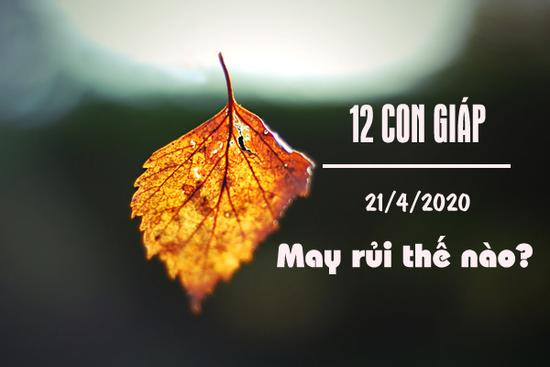 Tử vi thứ Ba ngày 21/4/2020 của 12 con giáp: Hợi sự nghiệp thuận lợi, Tý tuột mất cơ hội tốt
