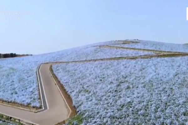 Cuộc sống của 18 người trong nhà lồng 47 m2 ở Hong Kong-1