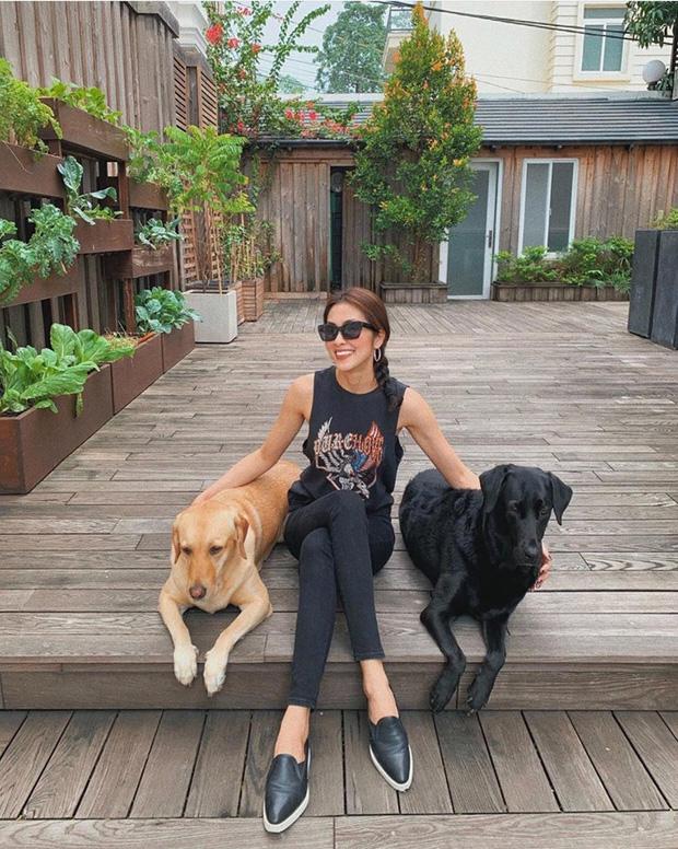 Không phải cao lương mỹ vị, bất ngờ với món ăn khoái khẩu của vợ chồng Tăng Thanh Hà-3