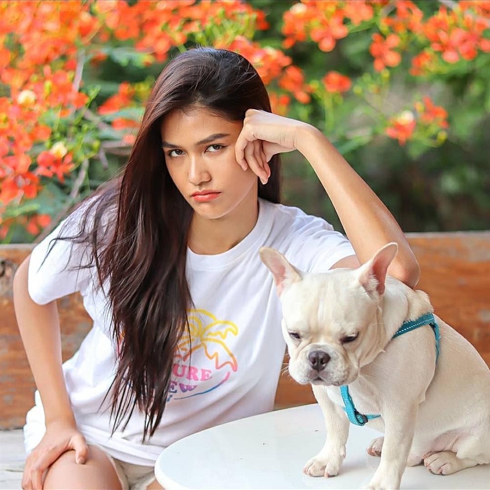 Bản tin Hoa hậu Hoàn vũ 21/4: Đẹp như Phạm Hương mà cũng bị chặt nát-10