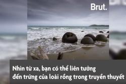 Hàng trăm khối đá tròn tồn tại 60 triệu năm ở New Zealand